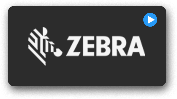 Zebra thumbnail